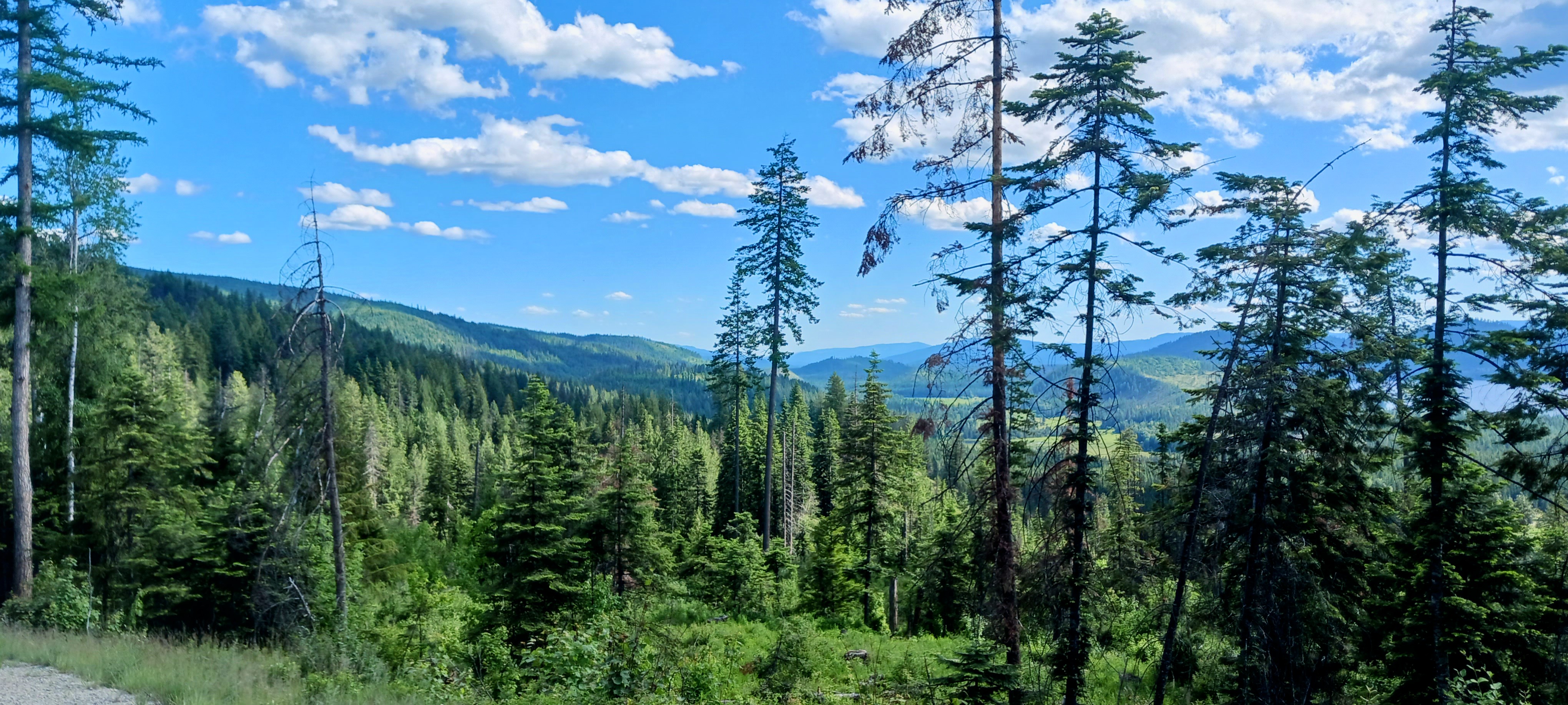 Idaho